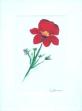 for my love