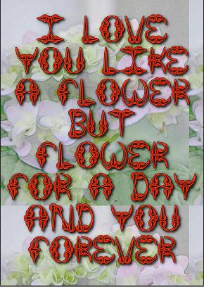 you my every thing