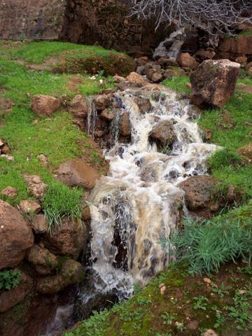 no life without water